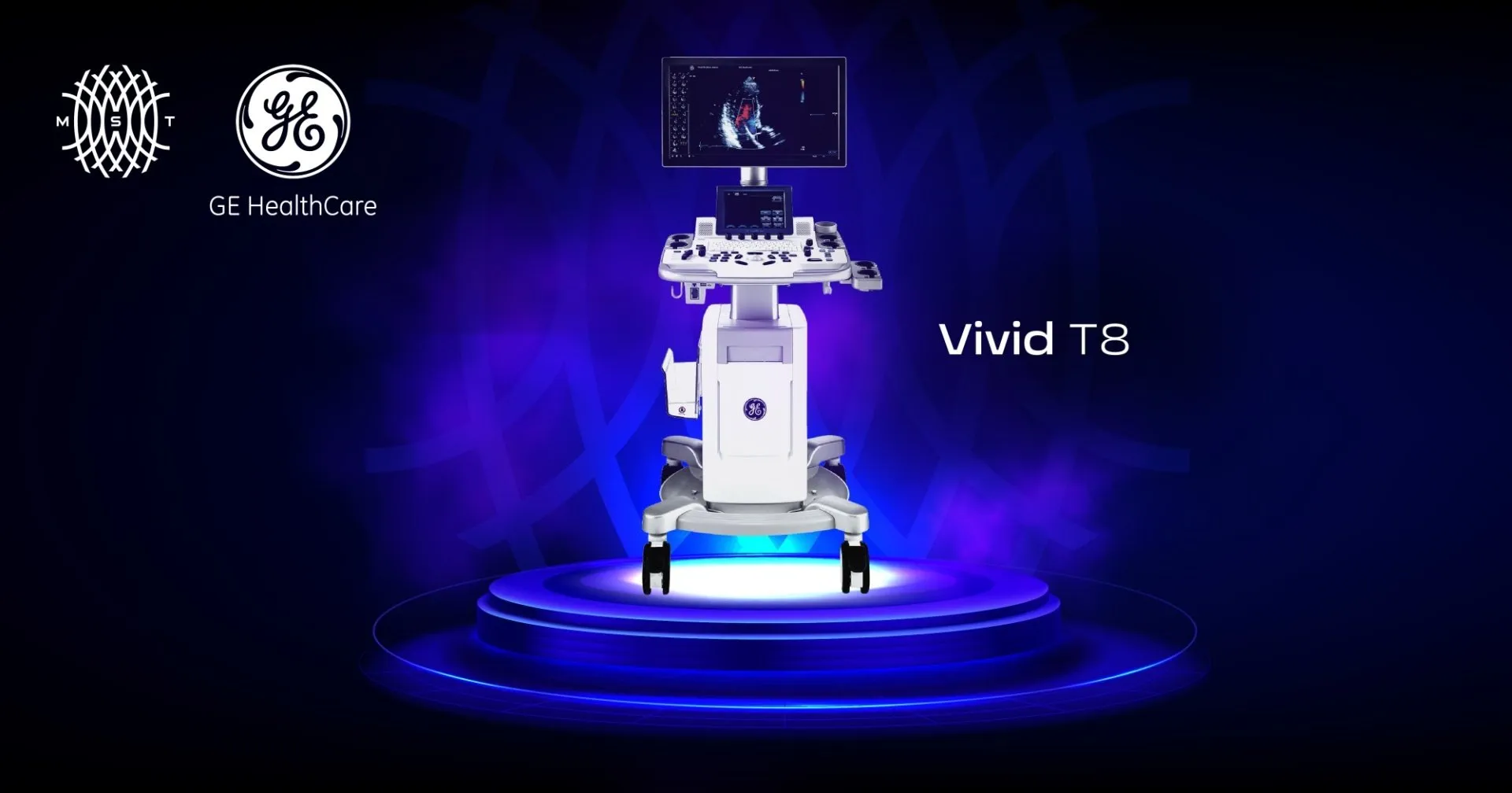 Vivid_T8 Vivid_T8
